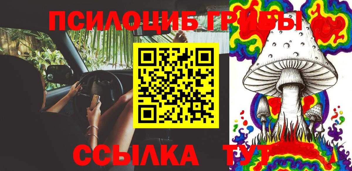 Галлюциногенные грибы MAGIC MUSHROOMS  Вход с VPN  Орехово-Зуево 