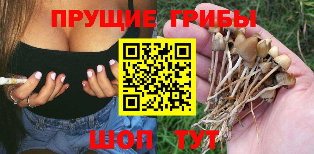 Псилоцибиновые грибы Cubensis Орехово-Зуево